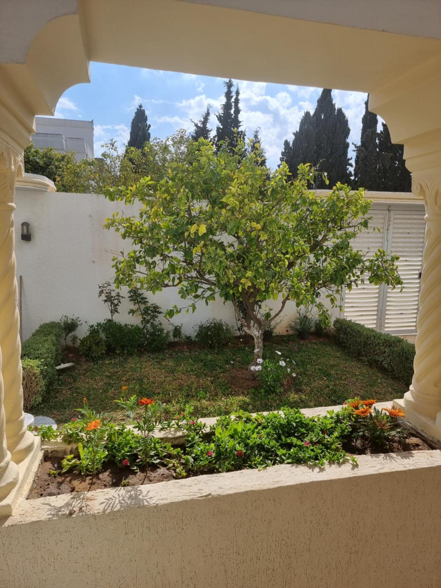 Appartements De Luxe Pres De La Mer Nabeul Exteriör bild