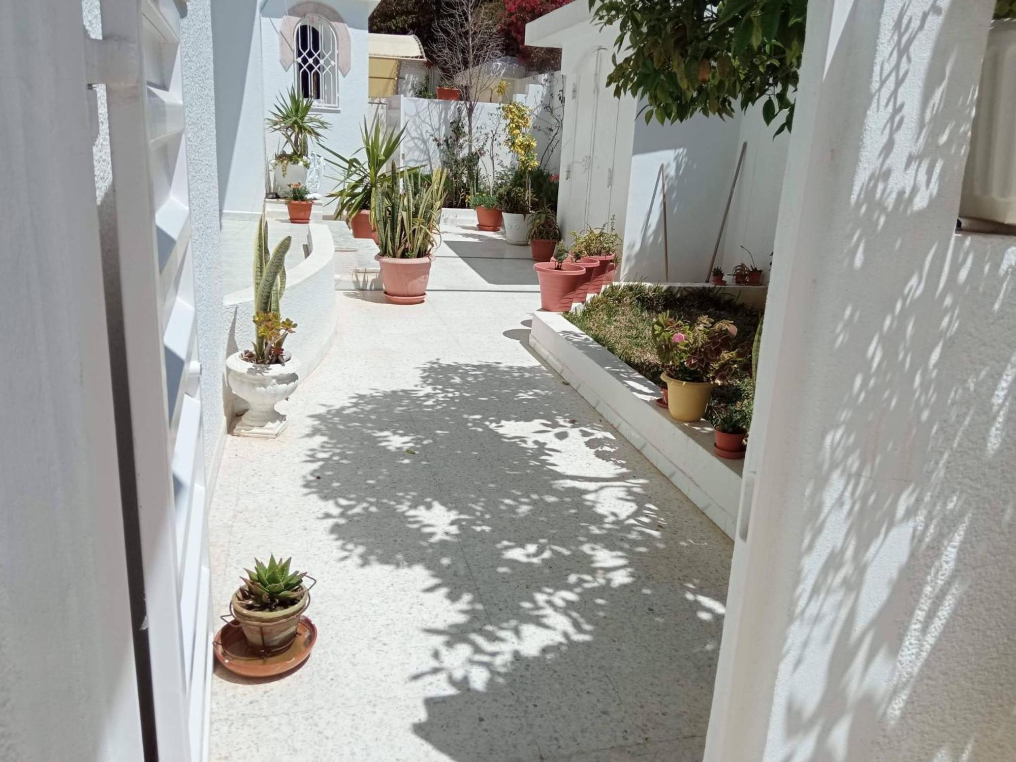 Appartements De Luxe Pres De La Mer Nabeul Exteriör bild